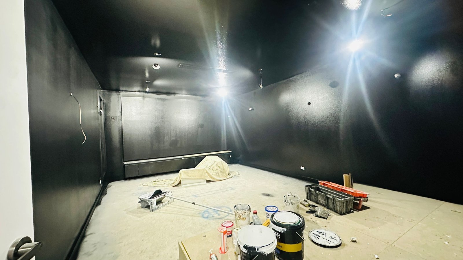 Professional painting work